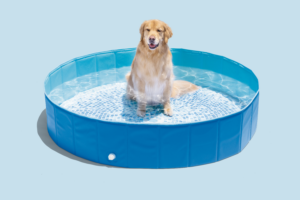 Круглий басейн INTEX складний для домашніх тварин