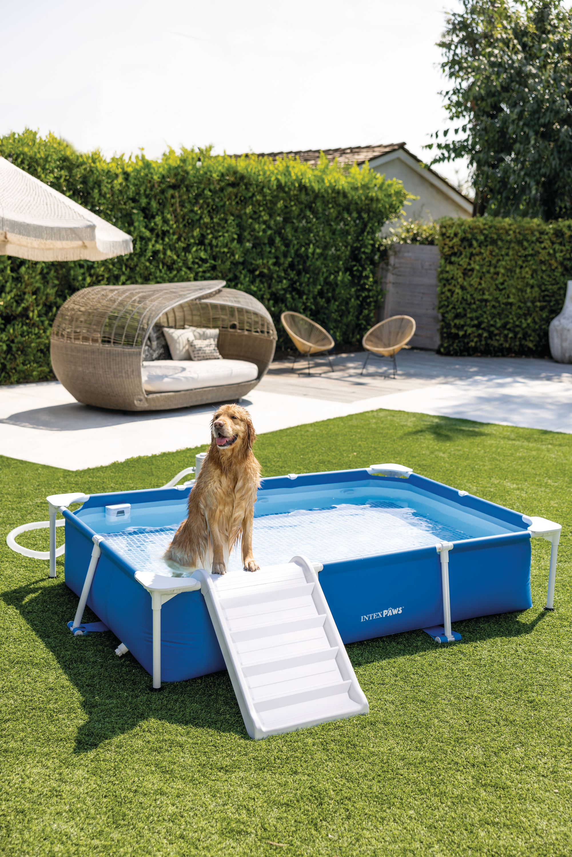 Прямоугольный бассейн INTEX для домашних животных