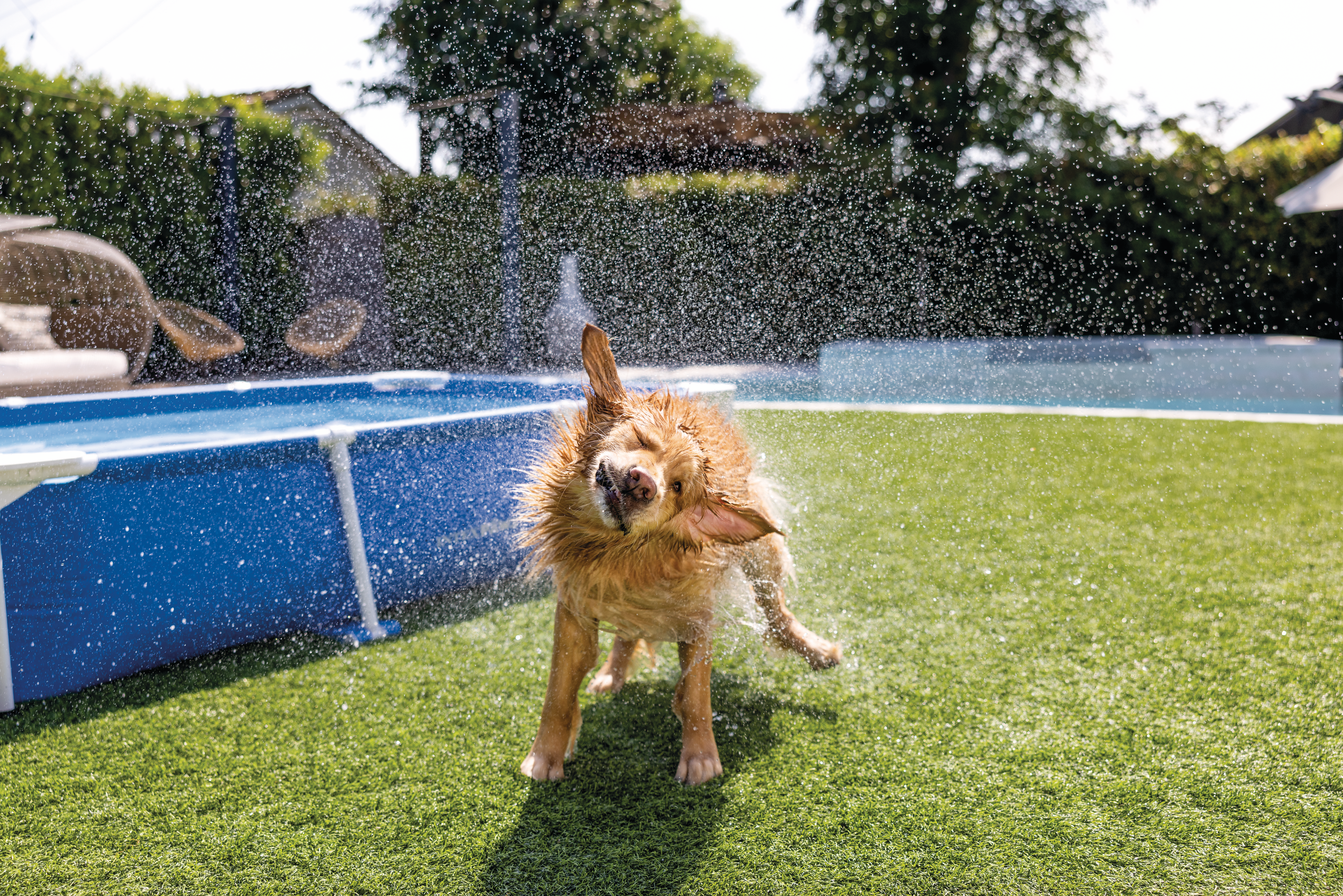 Прямоугольный бассейн INTEX для домашних животных