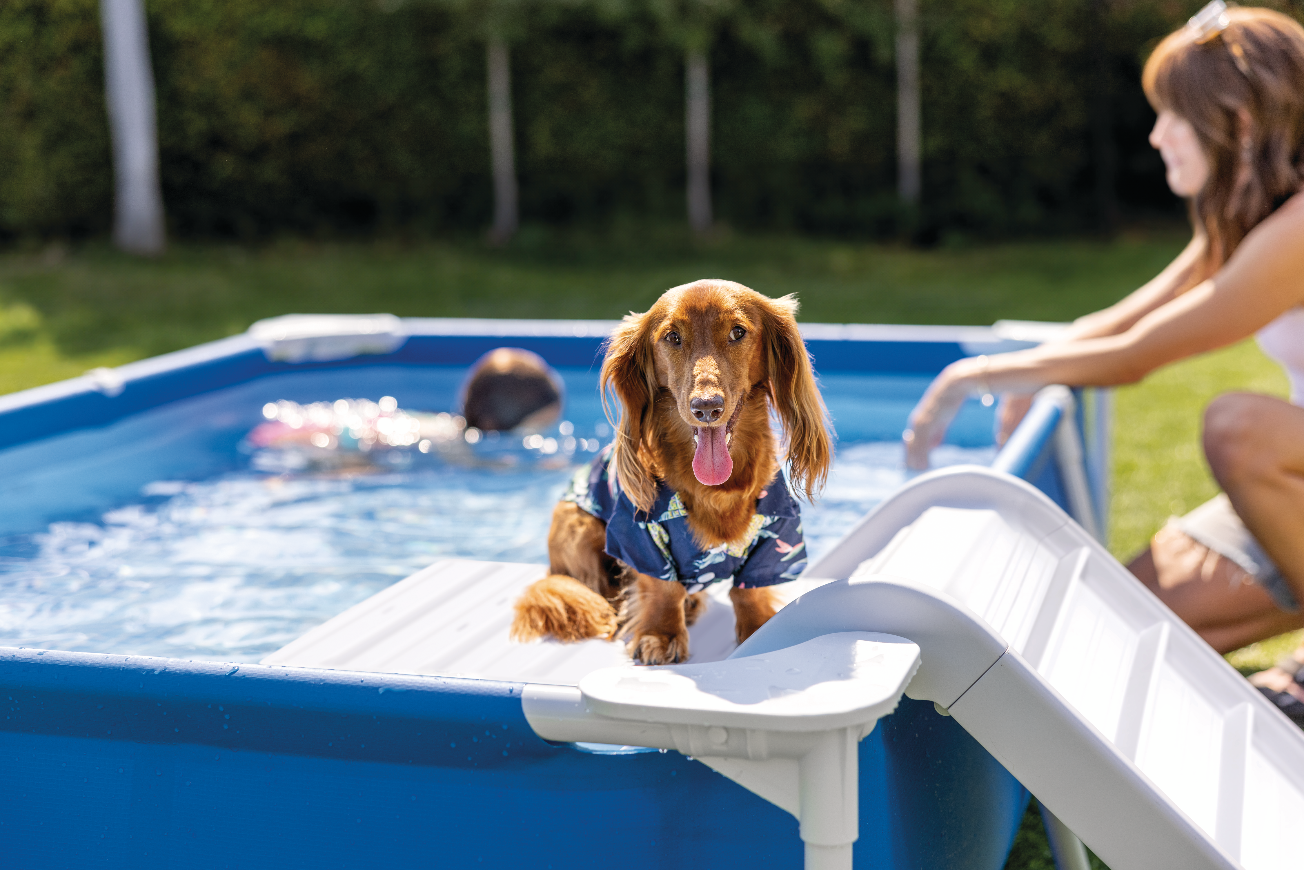 Прямоугольный бассейн INTEX для домашних животных