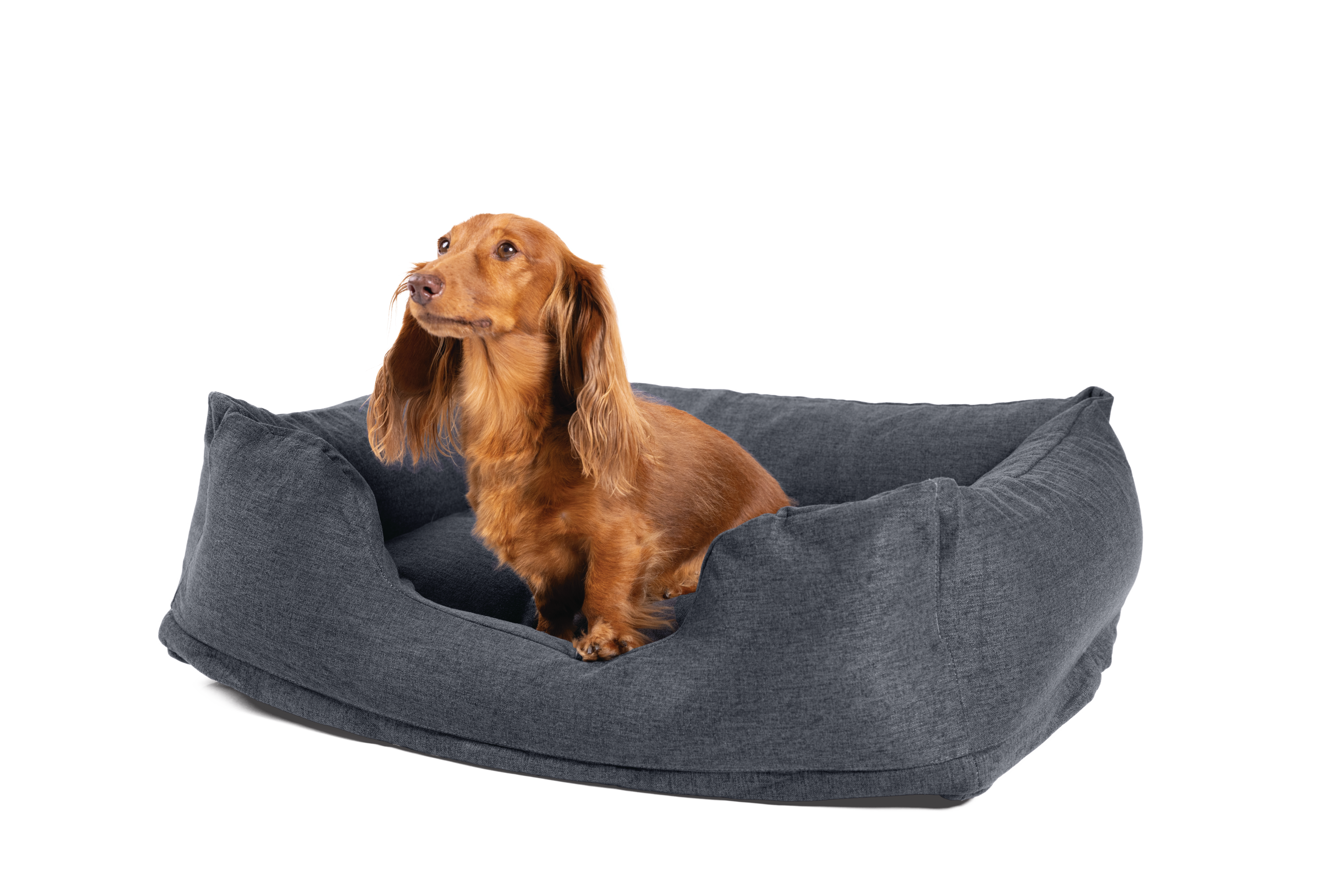 Лежак для домашных животных INTEX Small