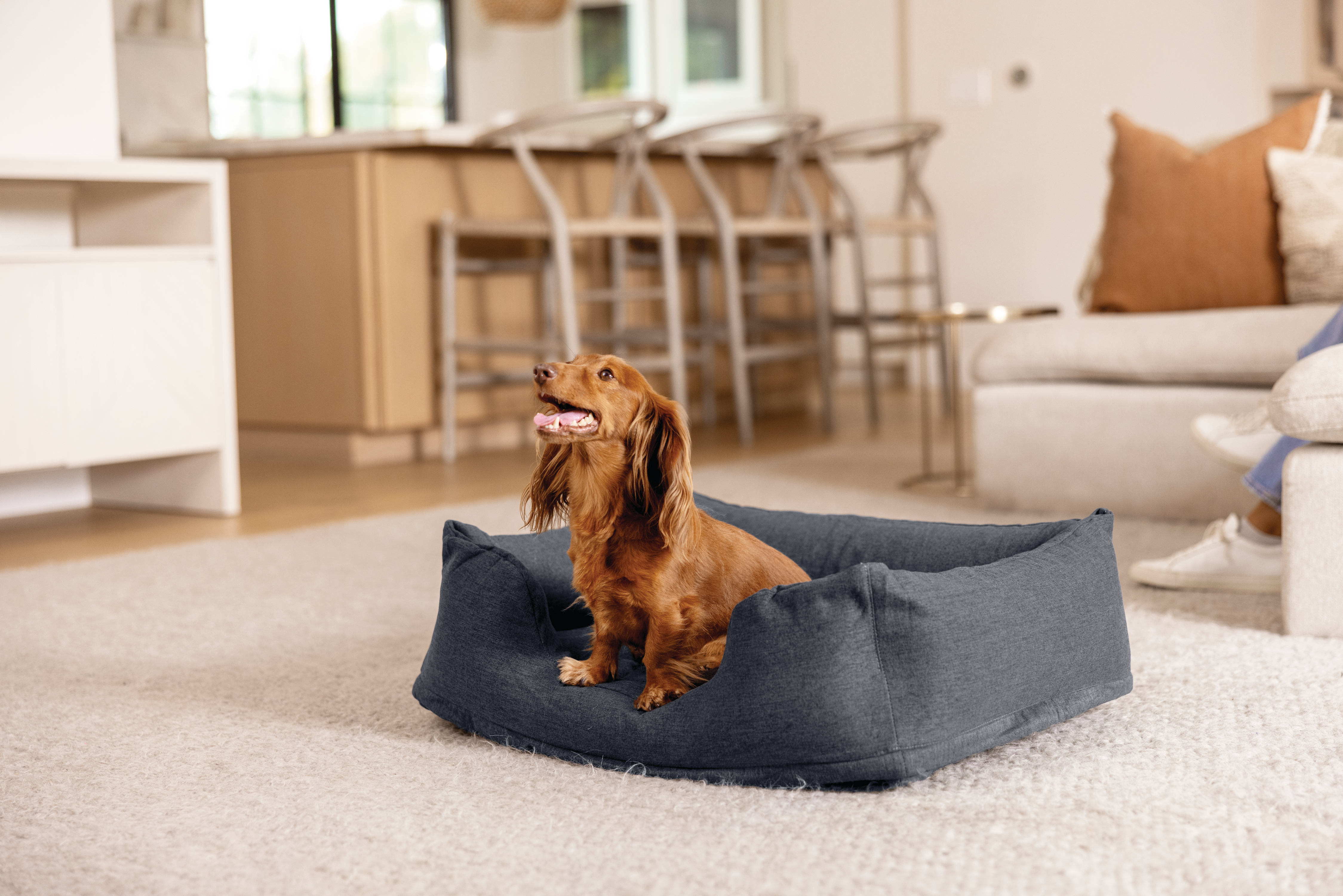 Лежак для домашных животных INTEX Small