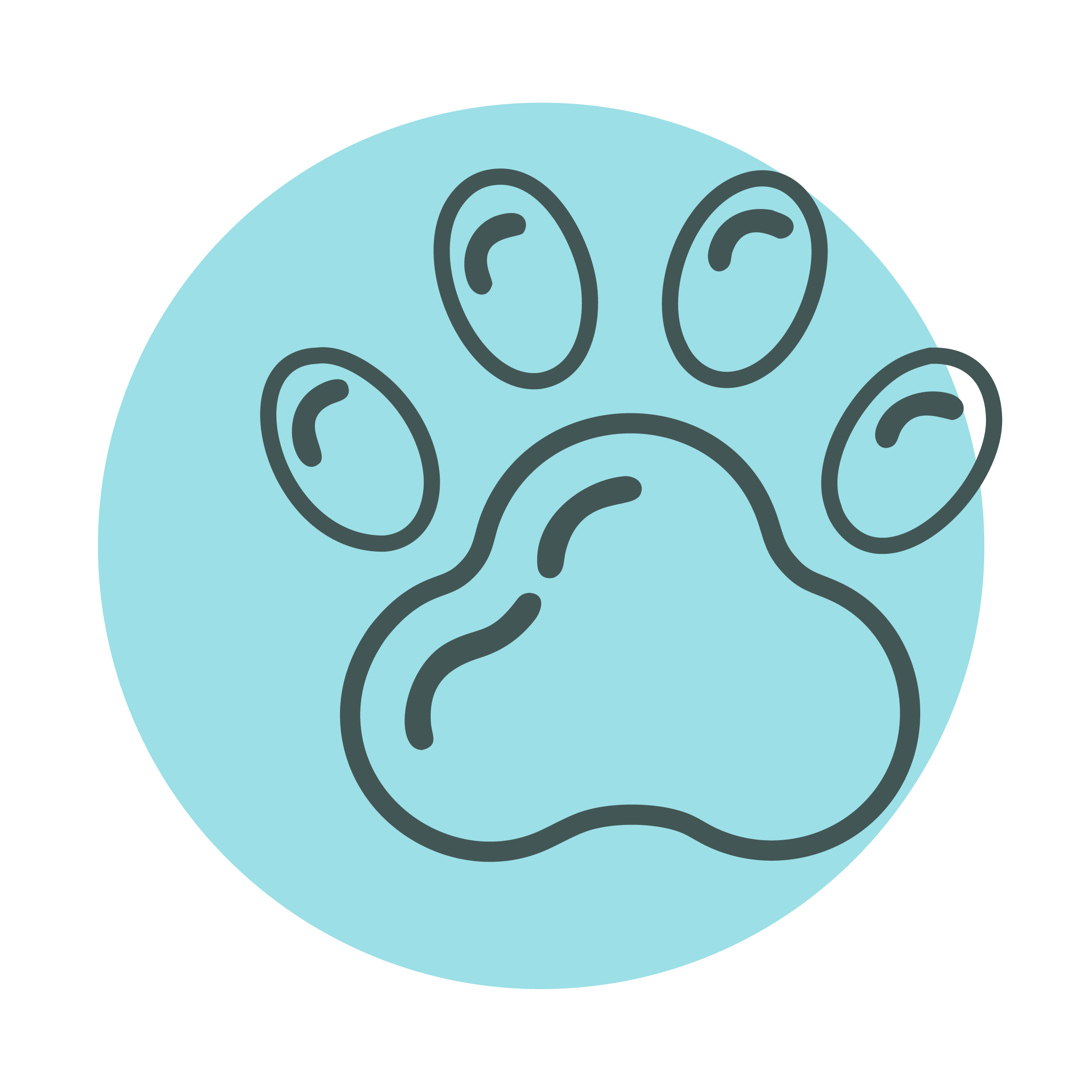 Домашні улюбленці